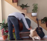 Gato maltratado se venga (Youtube)