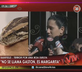 Boa suelta en Banfield - Esposa del dueño (Canal 26)
