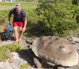 Tortuga gigante