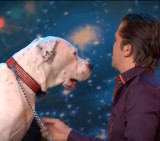Perro canta canción de Whitney Houston