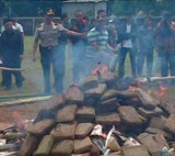 Quema de marihuana en Indonesia