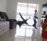 Gato ataja penales