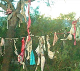 Robo de corpiños y bombachas
