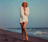 Últimas fotos de Marilyn Monroe