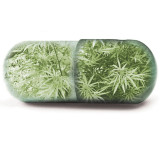 Marihuana - Última alternativa
