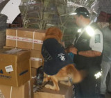Detienen banda con contrabando (AFIP)