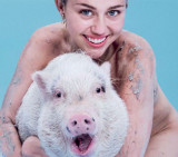 Miley Cyrus y su cerdito