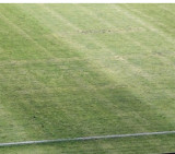 Esvástica en un campo de Europa
