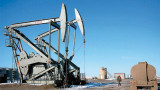 Petróleo