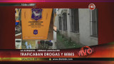 Plantancion de marihuana en la Horqueta (Canal 26)