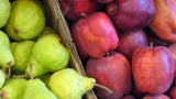 Manzanas y peras