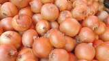 Cebollas