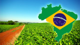 Soja en Brasil