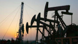 Petróleo