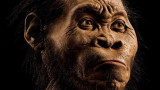 Homo nadeli 