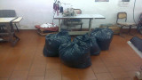 Coser