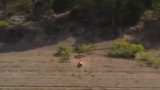 Pareja teniendo sexo en la playa