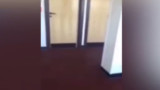 Graban a profesora teniendo sexo 