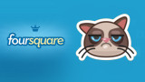 Foursquare y rescate de gatos