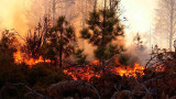 Incendio forestal en Bariloche (El Cordillerano)