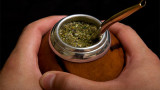 Mate