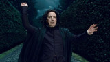 Alan Rickman