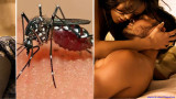 Contagio del Zika