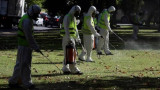 Fumigación Zika