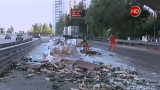 Volcó un camión en Puente Pueyrredón - Canal 26