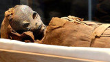 Momia alienígena