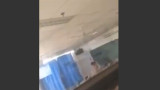 Video: profesor y alumna tienen sexo en el aula | Canal 26