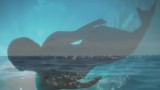 Sirena en el Lago Titi Caca