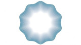 Logo del Bicentenario