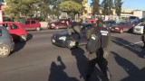 Gendarme carancho