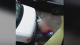 Lo descubren frotándose contra el suelo