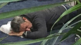 Cobos durmiendo en el suelo