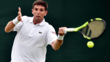 Delbonis