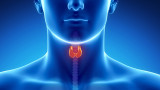 Cáncer de cabeza y cuello (Cáncer.pe)