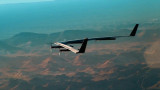 Aquila