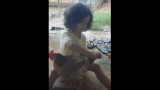Niña peina a una gallina 