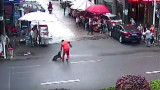 Perro feroz