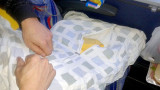 Almohada rellena con dolares