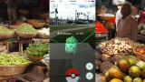 Pokemon Go - Vegetarianos