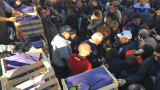 Regalan fruta en Plaza de Mayo