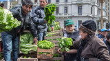 Regalan verduras en Plaza de Mayo (NA)
