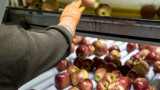 Empaquetadora de fruta