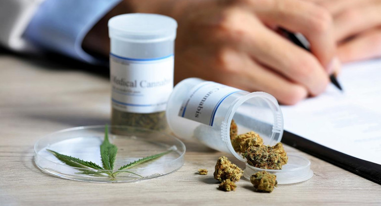  Cannabis medicinal