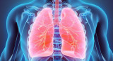 Pulmones