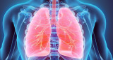 Pulmones