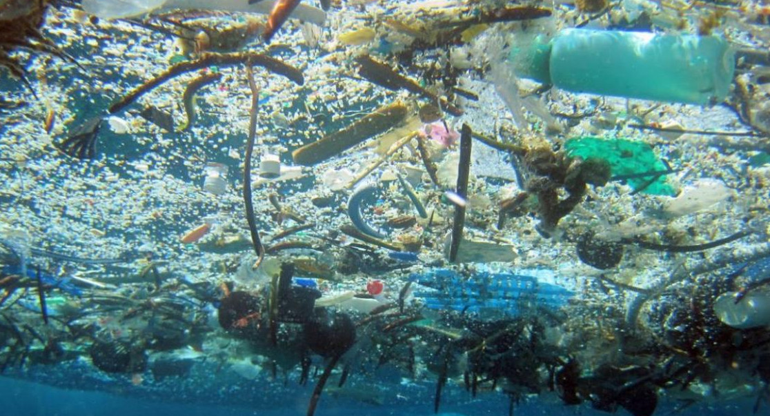 Diseñan una enzima que destruye el plástico y podría reducir la contaminación